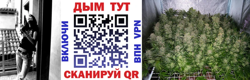 Бошки Шишки семена  Бахчисарай 